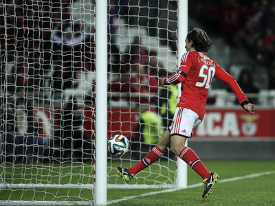 Benfica v V. Guimares J20 Liga Zon Sagres 2013/14