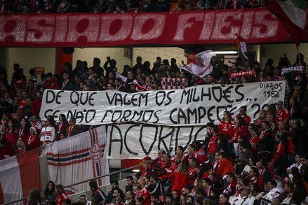 Benfica x Rio Ave - Liga NOS J14