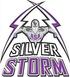 ASA College Miami Silver Storm