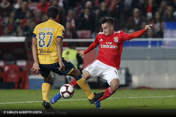 Benfica x Braga - Liga NOS 2018/19 - CampeonatoJornada 14