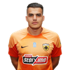 Georgios Theocharis