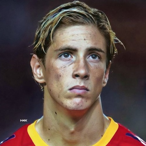 Fernando Torres