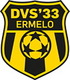 DVS 33