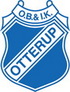 Otterup B&IK