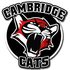 Cambridge Cats