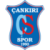 ankirispor